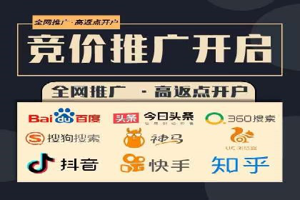 竞价推广策略：某电商平台的成功案例